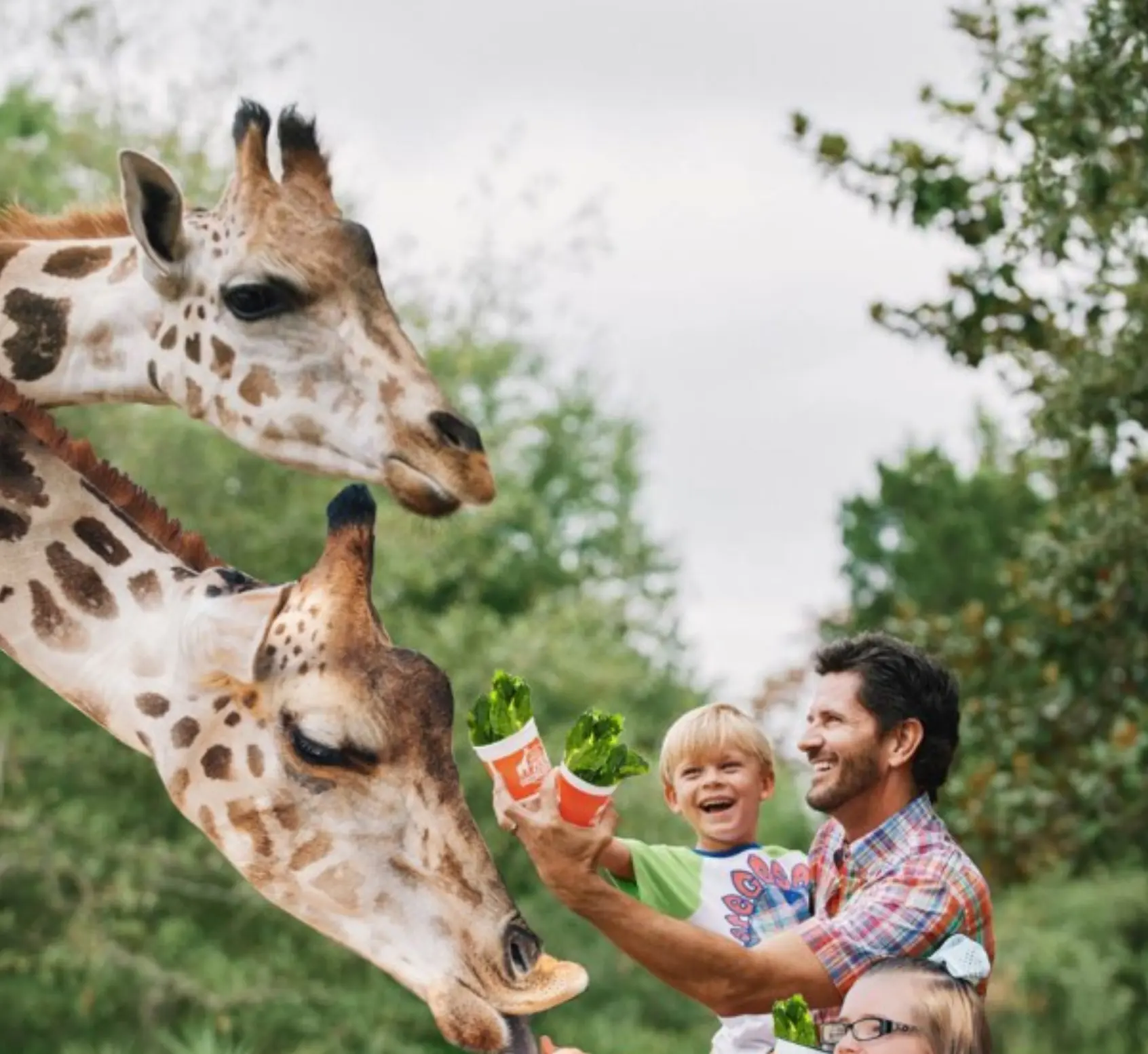 Gulf Breeze Zoo